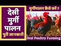 मुर्गी पालन कैसे करे?देसी मुर्गी पालन पूरी जानकारी । Desi Murgi Palan । Backyard Poultry Farming