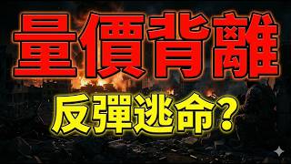 量價背離， 反彈逃命? 比巴菲特更狠的人，現在怎麼看市場？股市|股票|美元|美股 03/12/26【宏爺講股】