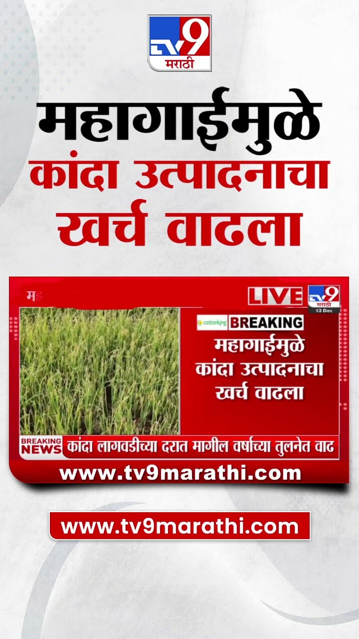Onion Rate Update | महागाईमुळे कांदा उत्पादनाचा खर्च वाढला, मागील वर्षाच्या तुलनेत  दरात वाढ