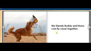 AIR DOG animal story for kids, children, ESL, elementary EASY READ ALONG AUDIO STORY BOOK