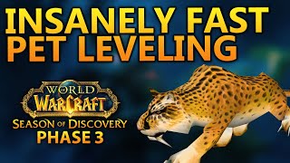 Level Hunter pets FAST in Phase 3 | Season of Discovery | Jeiku Living Flame NA