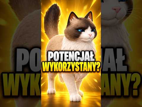 POTENCJAŁ ZWIERZAKÓW WRESZCIE JEST WYKORZYSTYWANY