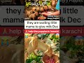 puppies | hungry puppy | dog food | video of feeding puppies