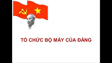 Tổ chức bộ máy của Đảng | Kiến Thức Chung | Ôn Thi Công Chức