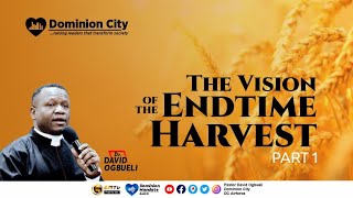 THE VISION OF THE END-TIME HARVEST (1) -DR DAVID OGBUELI by Dominion City 2,574 views 2 years ago 22 minutes