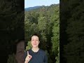Why Do Redwoods Grow THIS Tall?