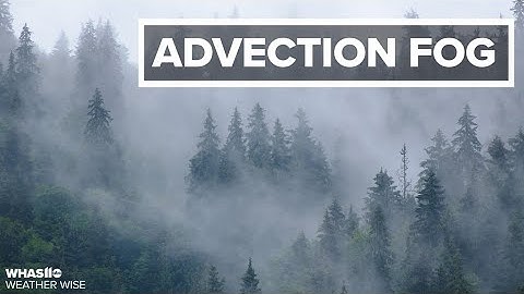 Weather Wise: Adevction Fog