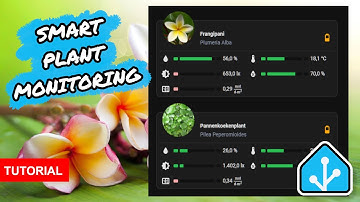 Home Assistant Plant Monitoring: Set Up Zigbee Sensors & Flower Card Dashboard