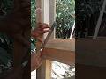 Carpenter trick 👍 #carpenter #woodworking #furniture #wood #diy #shorts