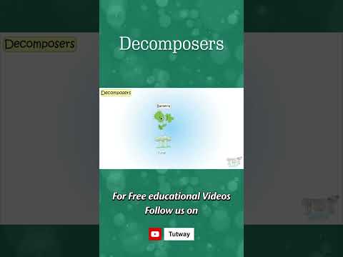 Decomposer | Types of Decomposers | Food Chain | Producers, Consumers, Decomposers | Science #shorts