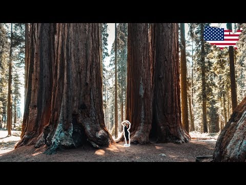 Video: Camping außerhalb des Yosemite-Nationalparks