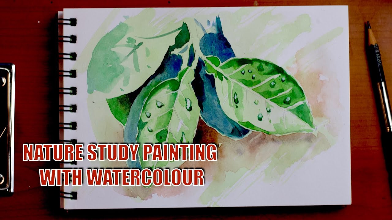 Why Add Art To Your Nature Study? - The Homeschool Scientist