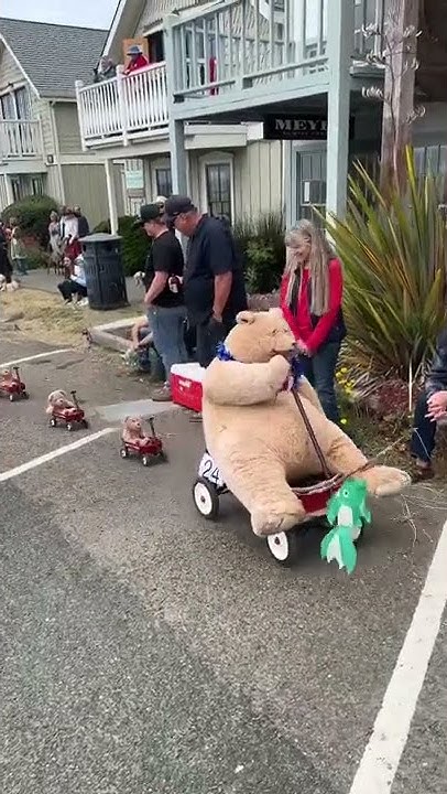 mendocino 4th of july parade 2025