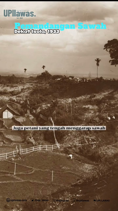 Pemandangan Sawah Dekat Isola, Bandung 1933. #upilawas #villaisola #bandung