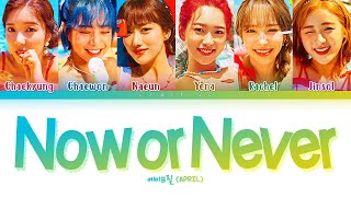 APRIL Now or Never Lyrics (에이프릴 Now or Never 가사) [Color Coded Lyrics/Han/Rom/Eng]