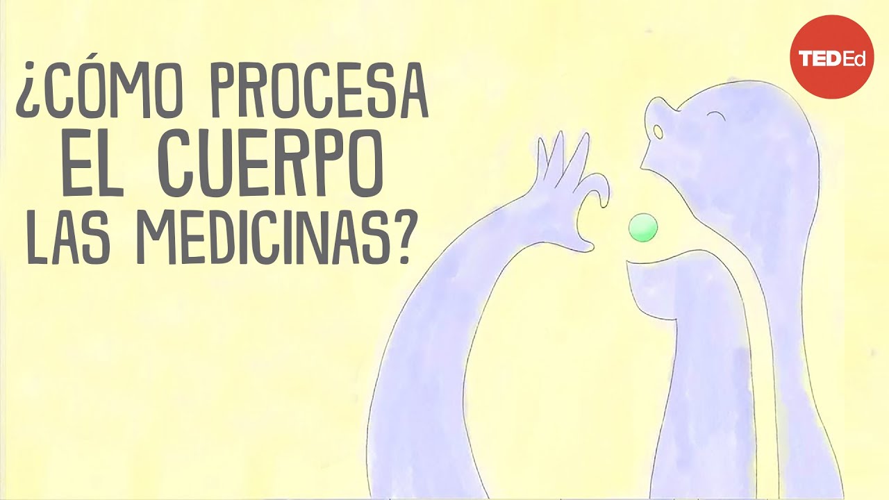 ¿Cómo procesa el cuerpo las medicinas?