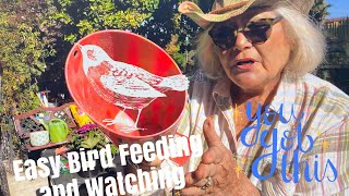Beginners’ Guide to Bird Feeding and Watching