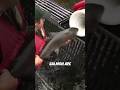 Salmon Cannon
