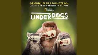 The Underdogs