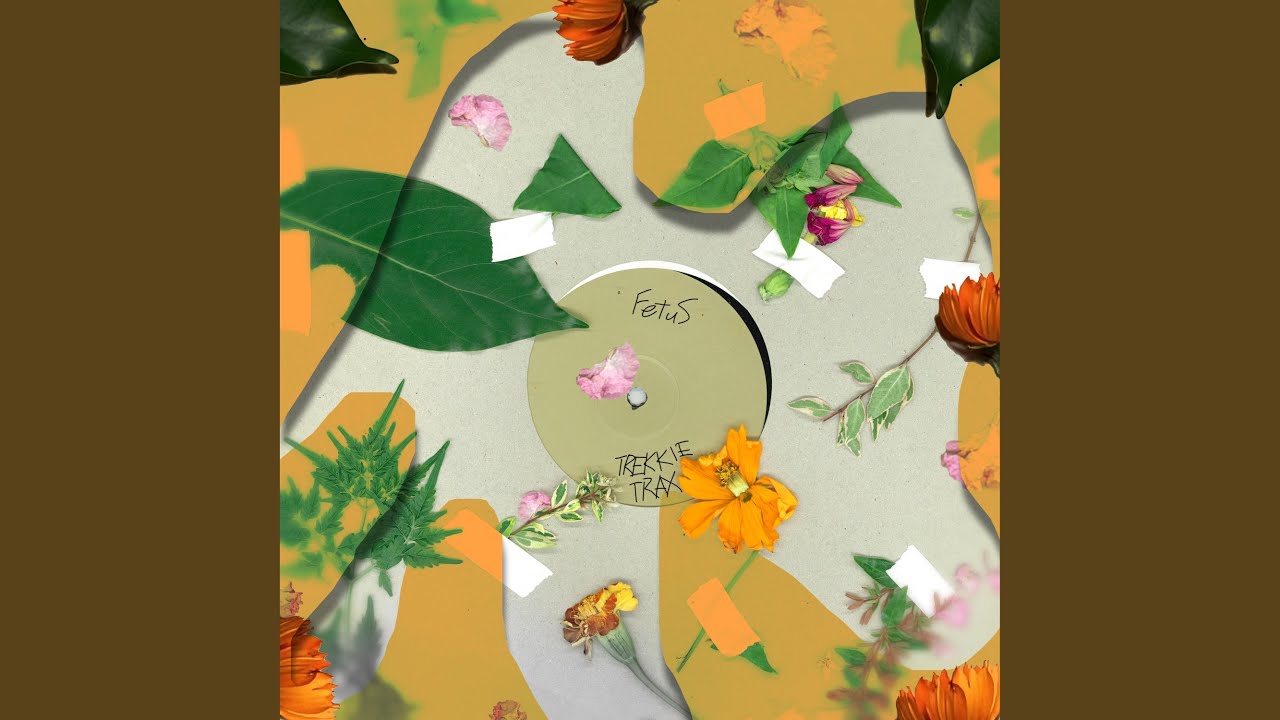 Guarda Dog Sleeper su YouTube Guarda Dog Sleeper su YouTube