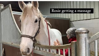 Rosie getting a horse massage