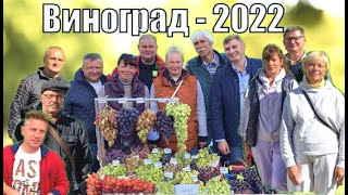 Виноград - 2022. Выставка винограда в г.п. Самохваловичи /Сорта винограда