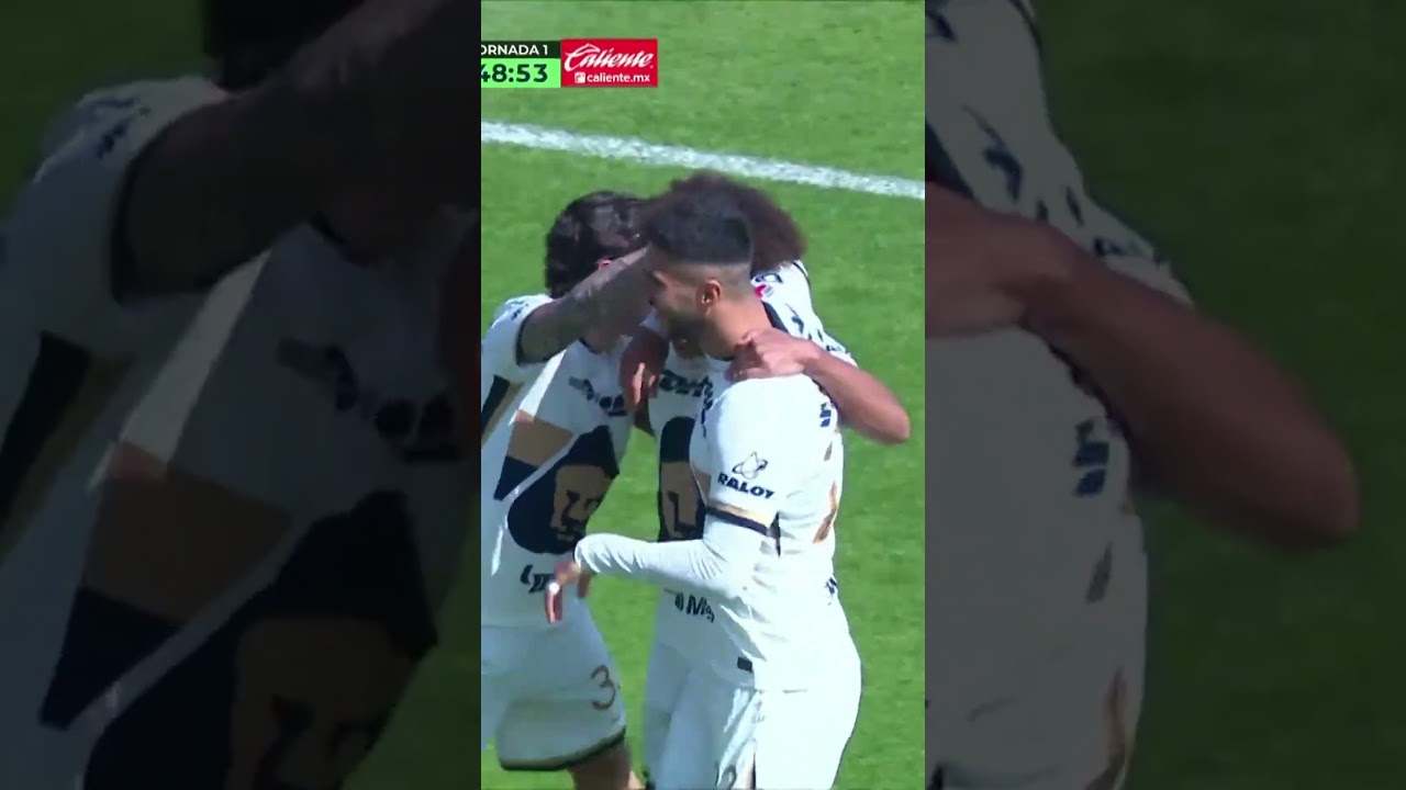Carrasquilla se mandó un golazo ⚽️🐾✨ #shorts
