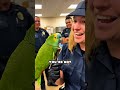 Parrot tells cop she can't marry him 🤣 #talkingparrot #funnyvideos #shorts