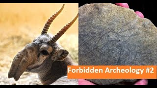 видео: Запретная археология. Эпизод 2 картинка: Запретная археология. Эпизод 2