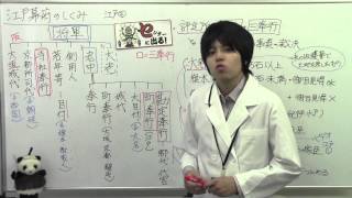 【日本史】江戸2  江戸幕府のしくみ（親藩、譜代、外様、老中など）