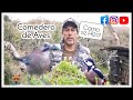 Como hacer un Comedero de aves (Como se hizo el nuestro) #avesdeespaña #fototrampeo #florayfauna