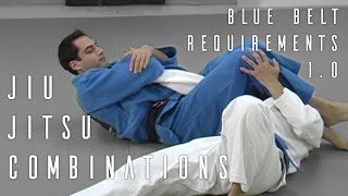 Jujutsu Combinations | Blue Belt Requirements 1.0 | ROYDEAN.TV