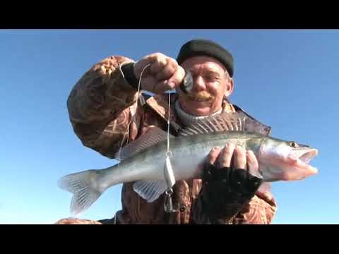 Fish Resort рыбалка