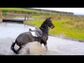 Horse Fails & Falls (BEST FAILS! MUST WATCH!!)