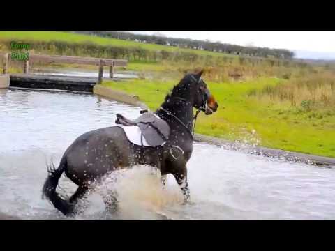 horse-fails-&-falls-(best-fails!-must-watch!!)