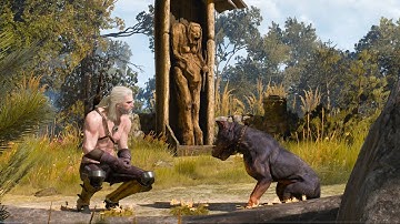 If you find this dog, something strange will happen...