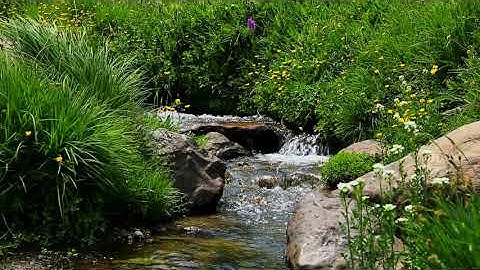 DÒNG SUỐI CHẢY - NƯỚC CHẢY TRONG RỪNG|  STREAM |  | FREE BACKGROUND NO WATERMARK | FULL HD OR ABOVE