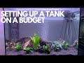 SETTING UP A FISH TANK ON A BUDGET