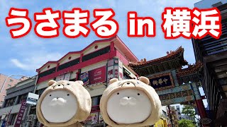 【Vlog】うさまる in 横浜 春のみなとみらいで休日を満喫！