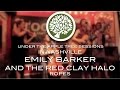 Emily Barker & The Red Clay Halo - 'Ropes' (in Nashville) | UNDER THE APPLE TREE
