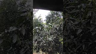 🌹 😍 🥀Neehare🙋Hailee🚦Rog🧮Thrake🪅🪅🪔🧧🇱🇷🇱🇻🇲🇦🇲🇨🇲🇩🇲🇼🇲🇻🇲🇷🇲🇶🇲🇵🇲🇿🇳🇬🇵🇫