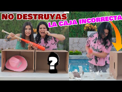 NO DESTRUYAS MIS COSAS FAVORITAS EN LA CAJA INCORRECTA | AnaNana TOYS