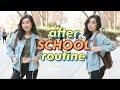 College After School/Night Routine| JENerationDIY