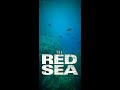 The incredible underwater world of the Red Sea /  წითელი ზღვის წყალქვეშა სამყარო