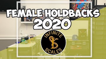 Amazing 2020 Female Ball Python Hold Backs!! |Infinite Scales