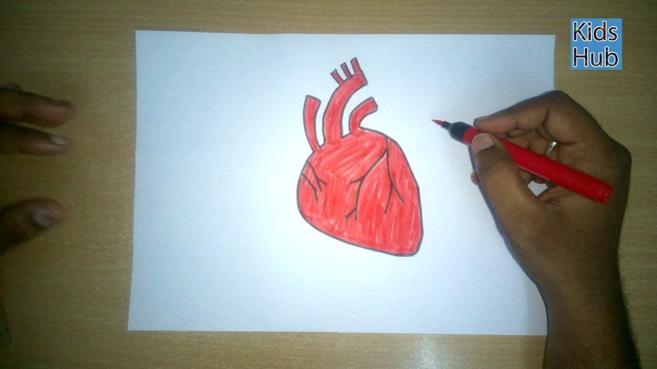 real heart drawing for kids