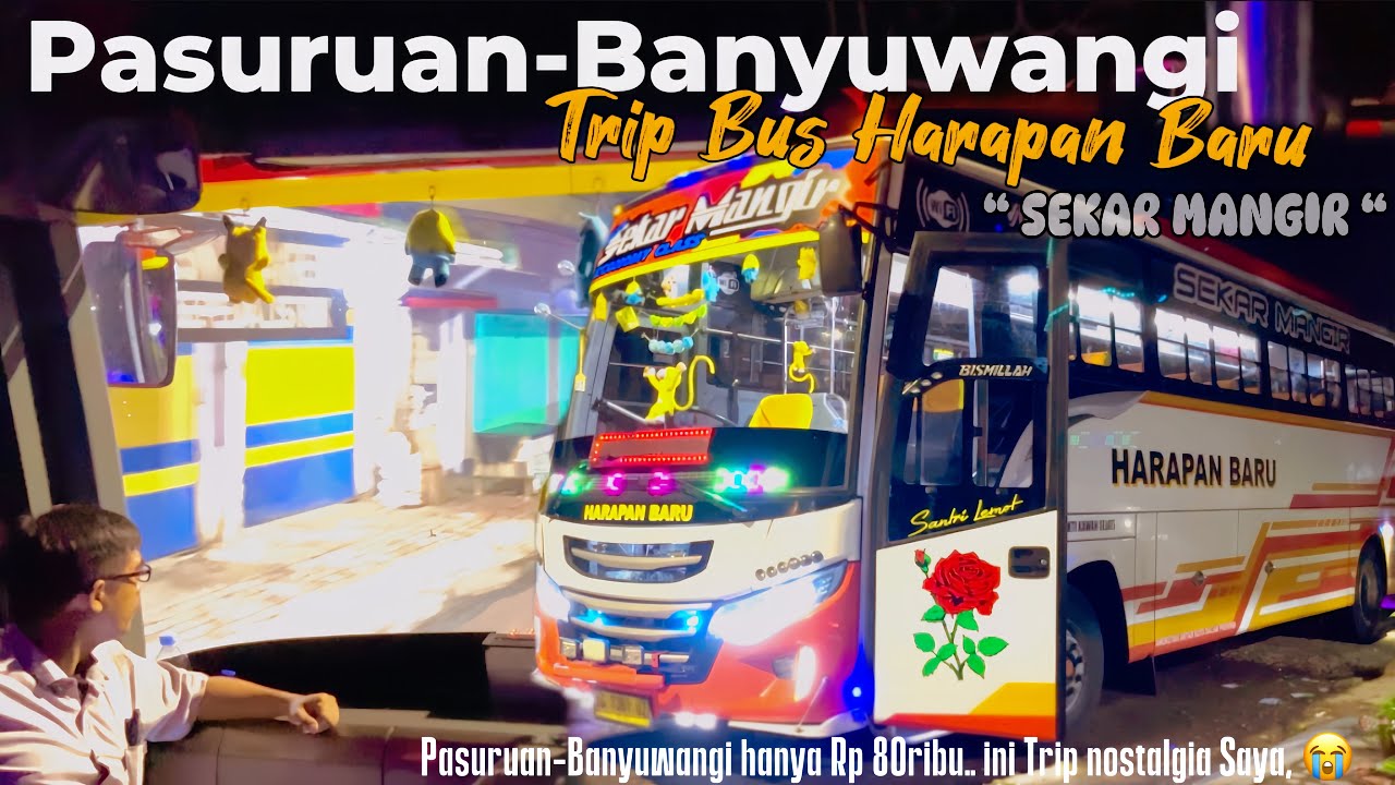 Trip Pasuruan Menuju Banyuwangi Naik Bus Harapan Baru “Sekar Mangir”, Bumel Andalan Bangett ini❗️😁