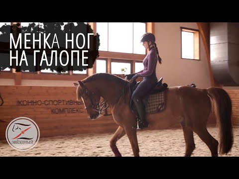 Уроки выездки на лошади видео