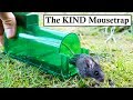 The KIND Mouse Trap (With Buzzer Attachment). Mousetrap Monday
