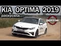 КИА ОПТИМА 2019 Корейцы тянут | обзор от Энергетика